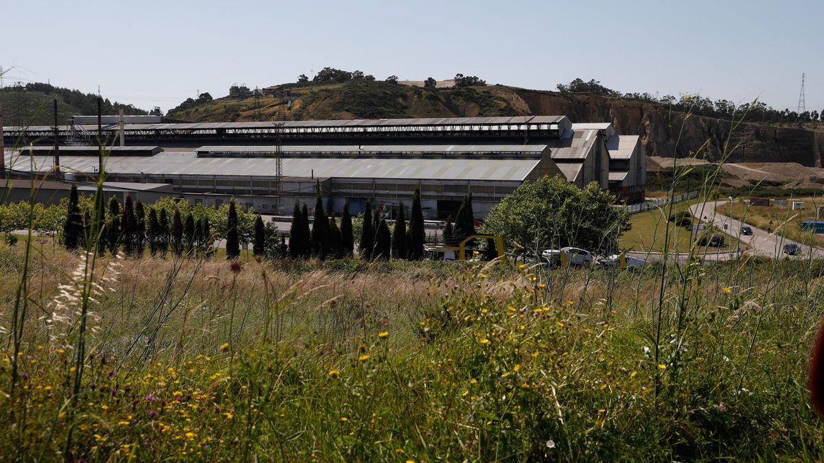 Una de las grandes industrias electrointensivas asturianas.