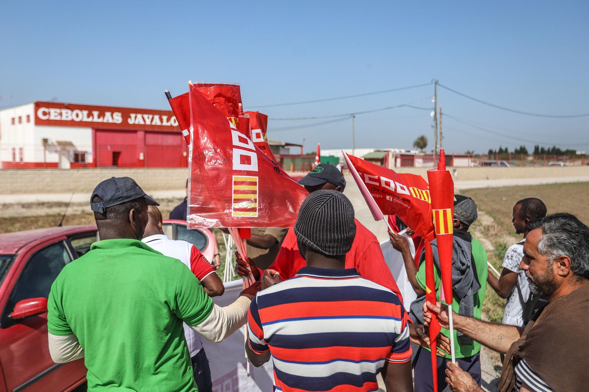 Trabajadores de Cebollas Javaloyes en Cox se concentran por "trato discriminatorio y represión sindical" en el día del Ramadán