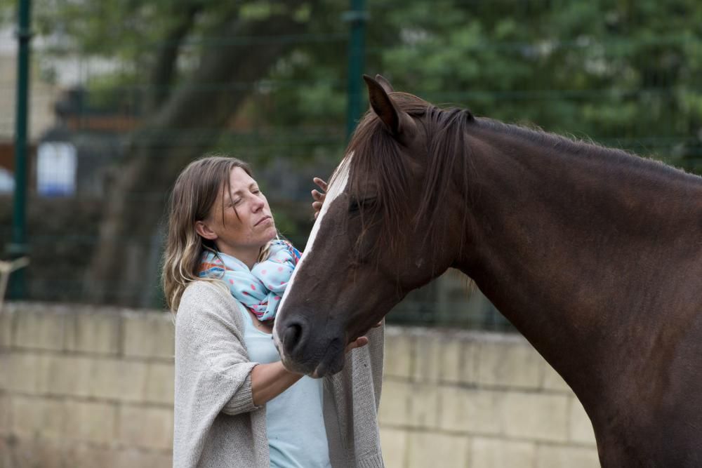 'Coaching' con caballos para empresarios