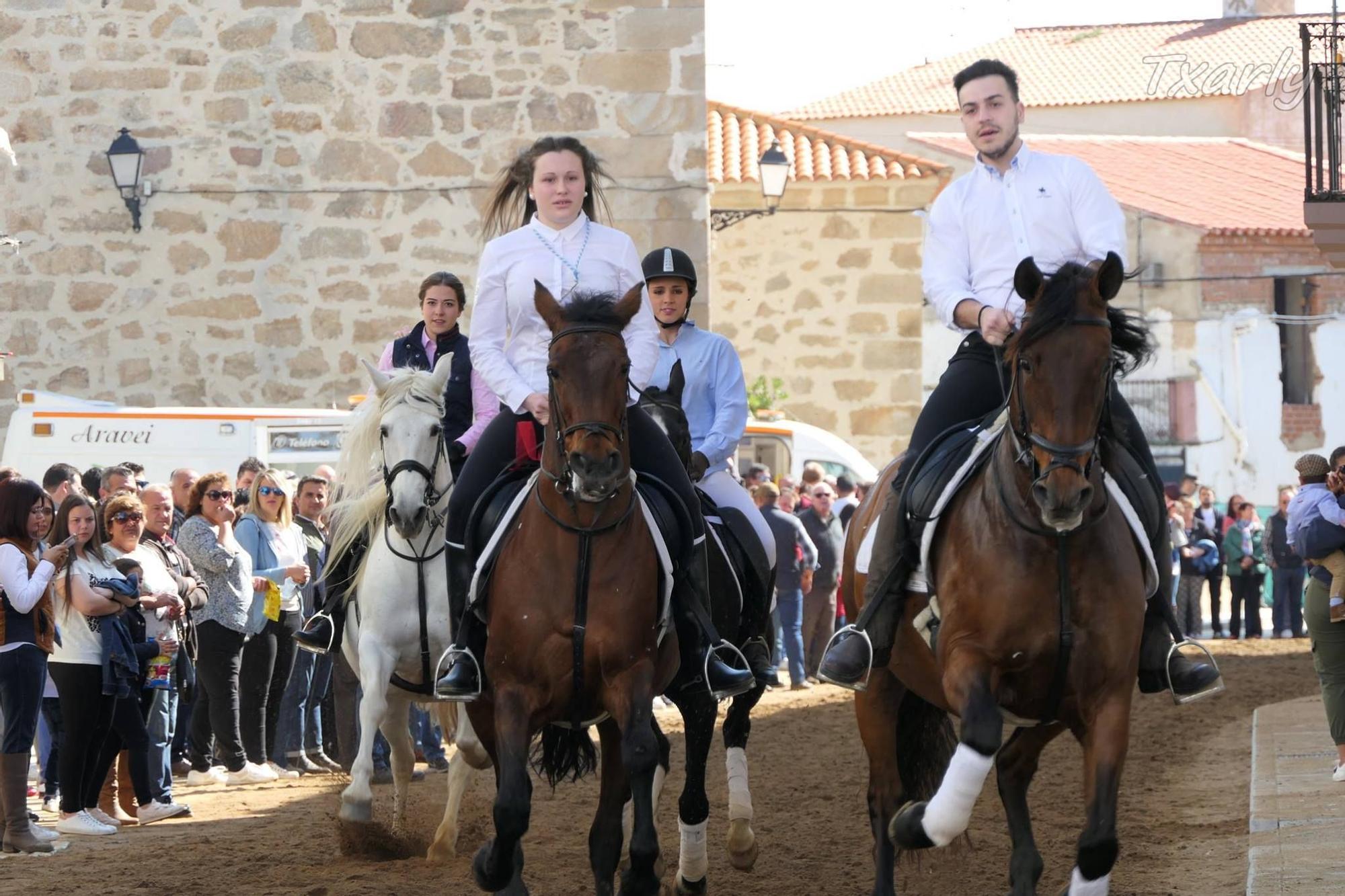 Los participantes corren por la calle Principal de Navas del Madroño en colleras.