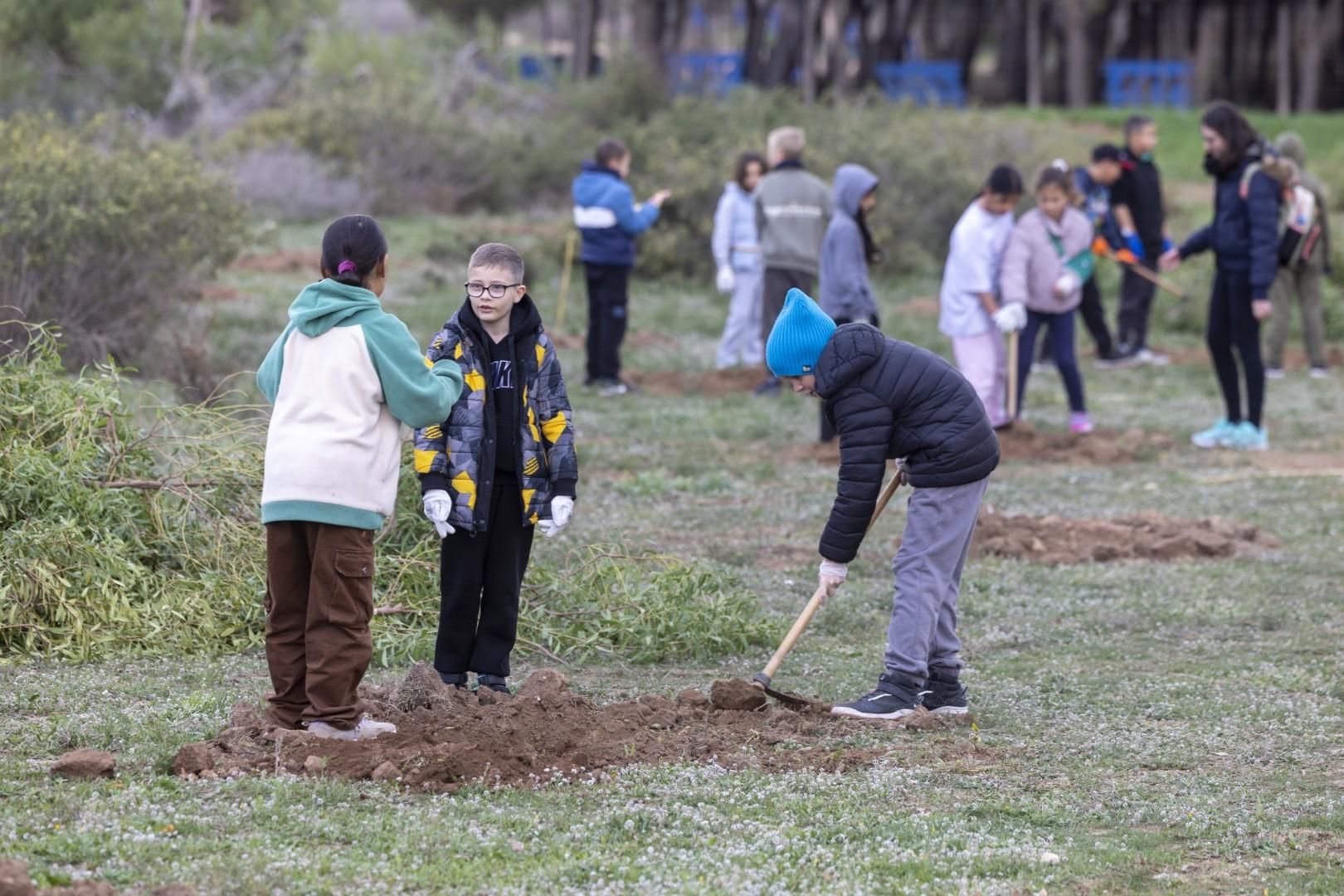 Jornada escolar plantación de especies autóctonas junto al parque natural de las lagunas de Torrevieja y La Mata