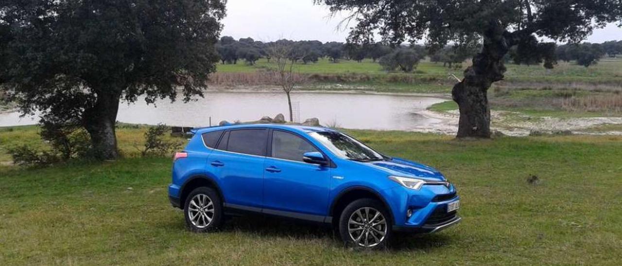 El nuevo RAV4 hybrid es la versión más potente del RAV4 que se ha vendido en Europa. // R.R.