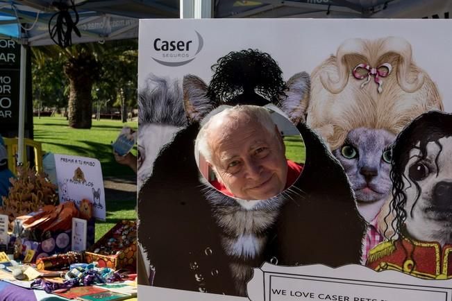 Feria de Mascotas de Maspalomas 2016