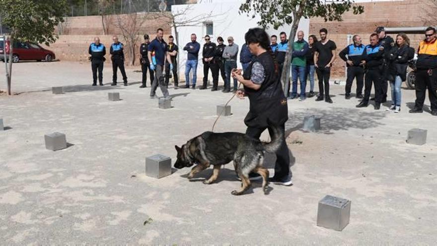 Un momento del curso que se desarrolló ayer en Sagunt.