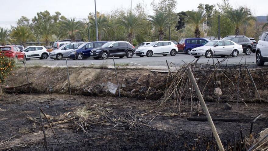 Así ha quedado una de las parcelas tras el incendio de enero.