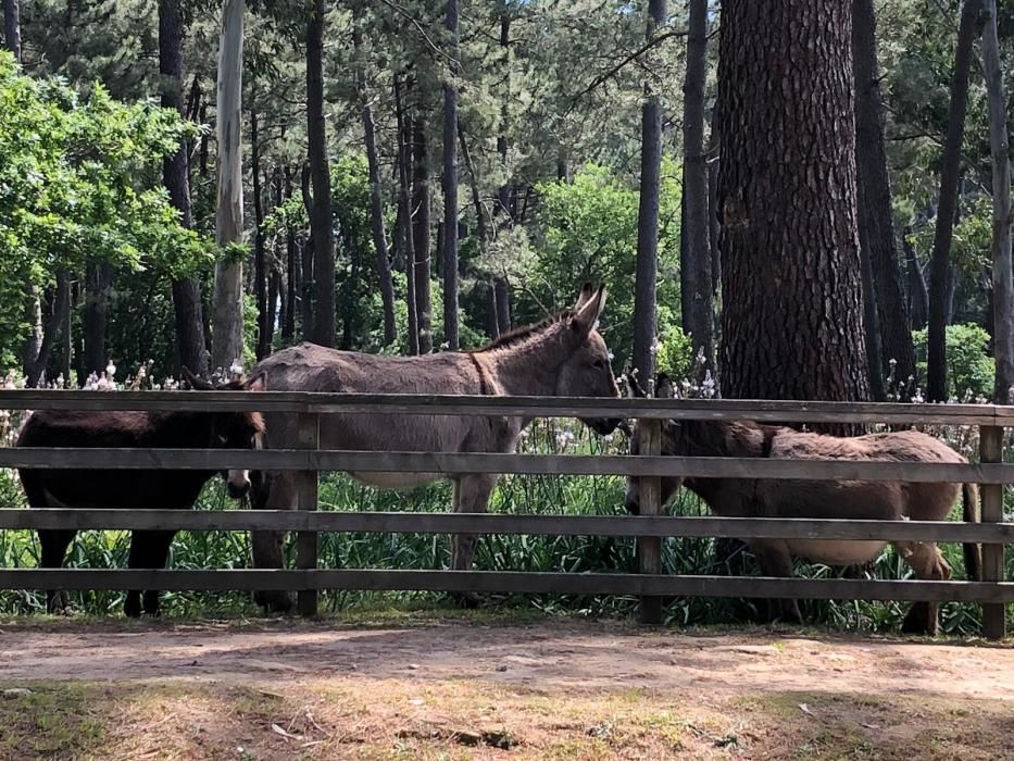 Afluencia turística en la comarca.