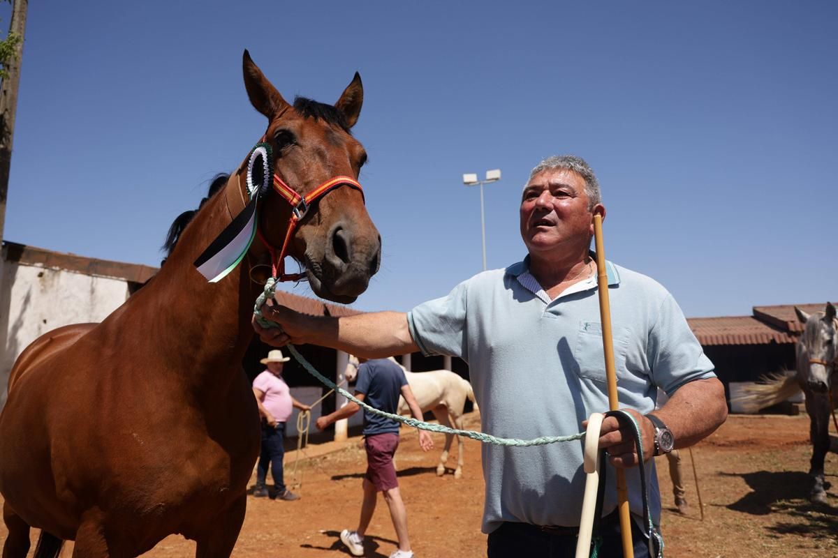 Fotogalería | Así se ha desarrollado la feria equina de Cáceres