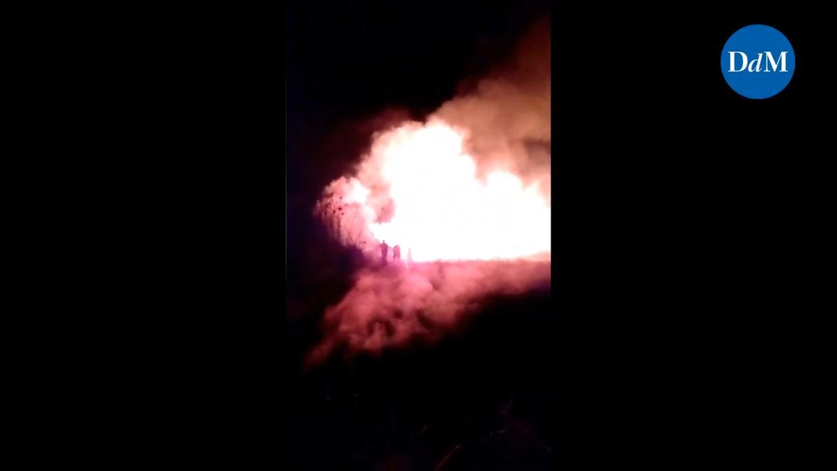 Diez fuegos forestales en dos días los alrededords de s'Albufera provocan la alarma entre los vecinos