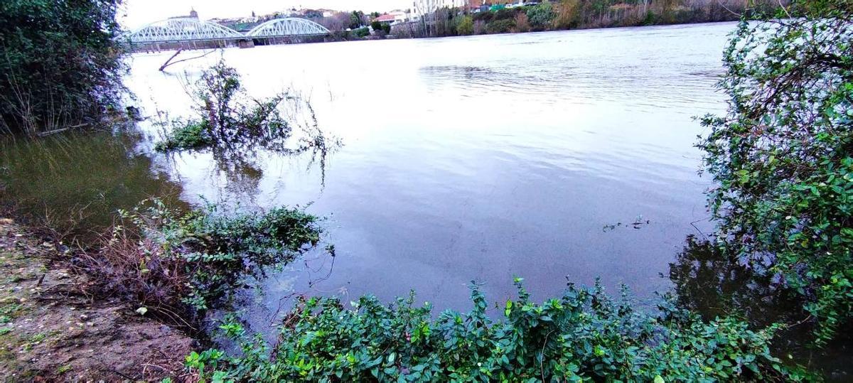 Fotogalería | Nuevo desalojo en La Isleta por la crecida del Alagón en Coria Fotogalería | Nuevo desalojo en La Isleta por la crecida del Alagón en Coria