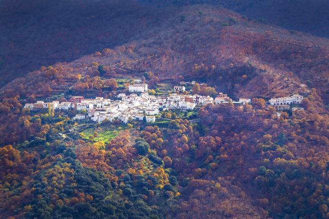 Parauta, Parque Sierra de las Nieves