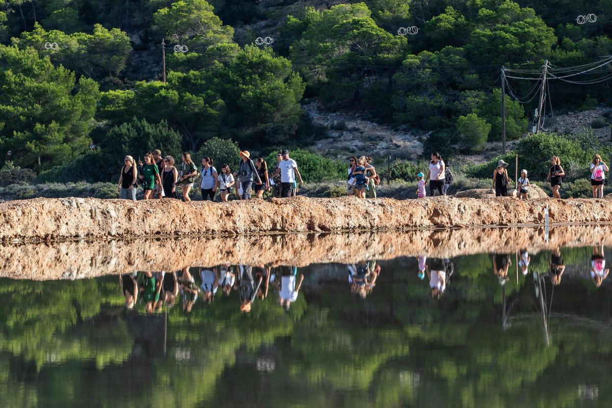 Galería: Así es una visita guiada al Parc Natural de ses Salines