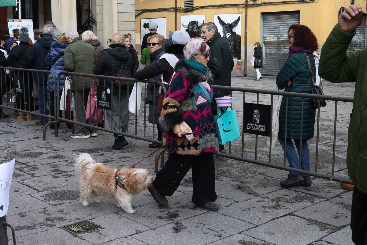 GALERÍA | Sanantonada de Azayca en la Plaza Mayor: agotados todos los platos