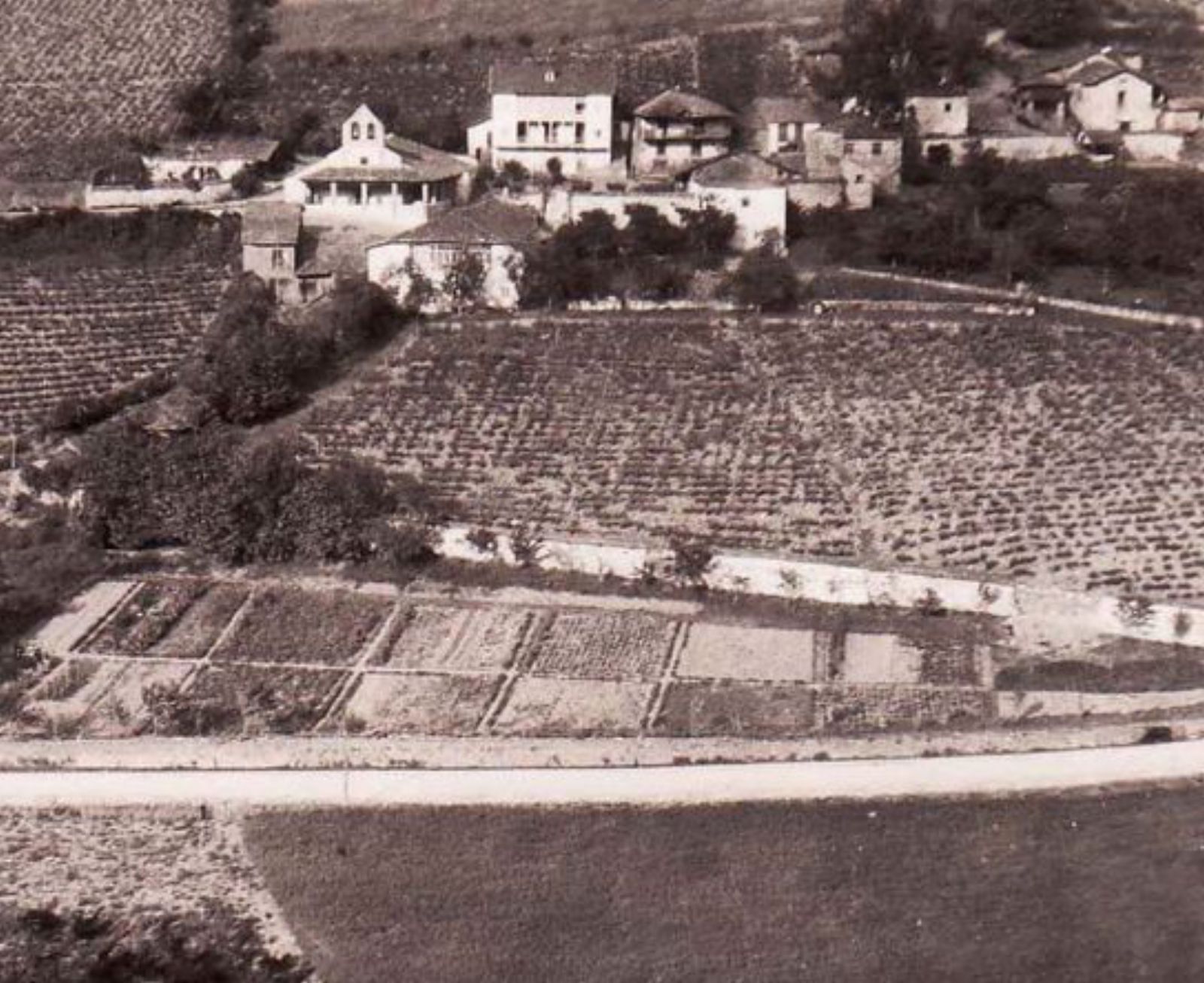 Vista de casa y viñedos de Mario Gómez en Limés donde su padre, José Gómez, tuvo una de sus bodegas y viveros. | Colección de fotos del Muséu del Pueblu d’Asturies.