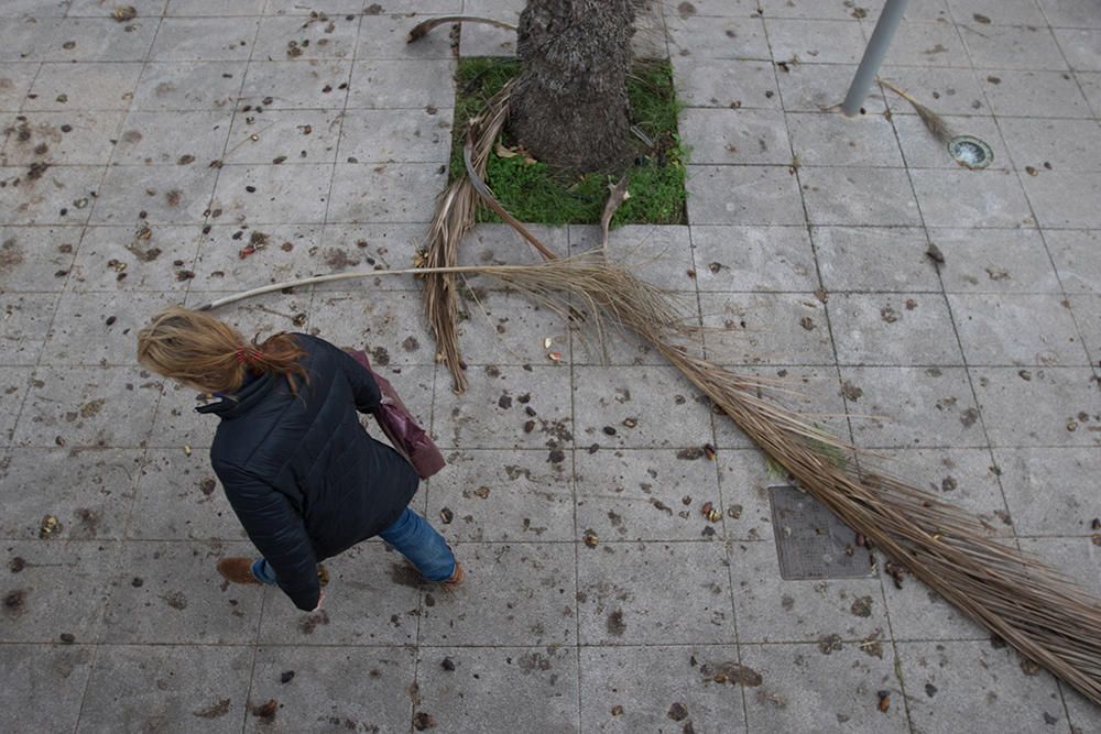 Destrozos por el temporal en Ibiza.