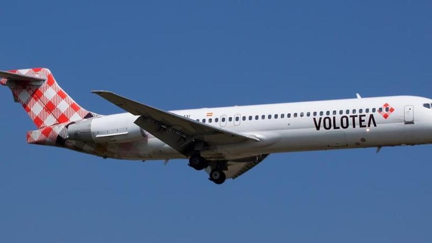 Un avión a Ibiza regresa a Bilbao tras chocar con un ave
