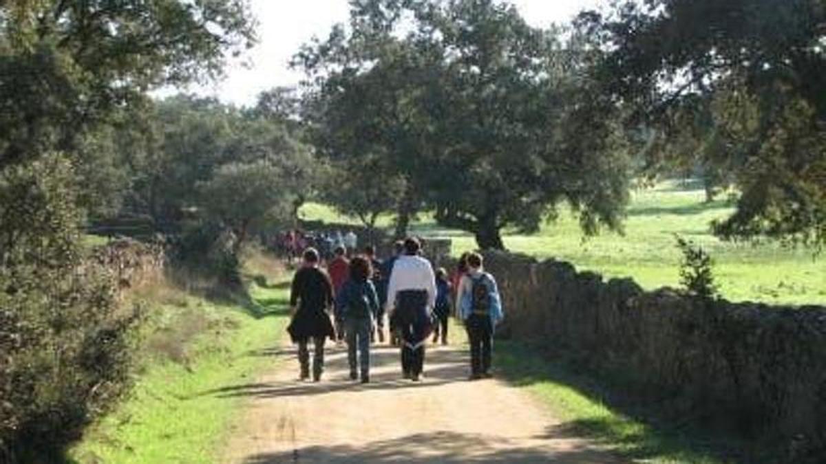 Escolares dan un paseo por la naturaleza.