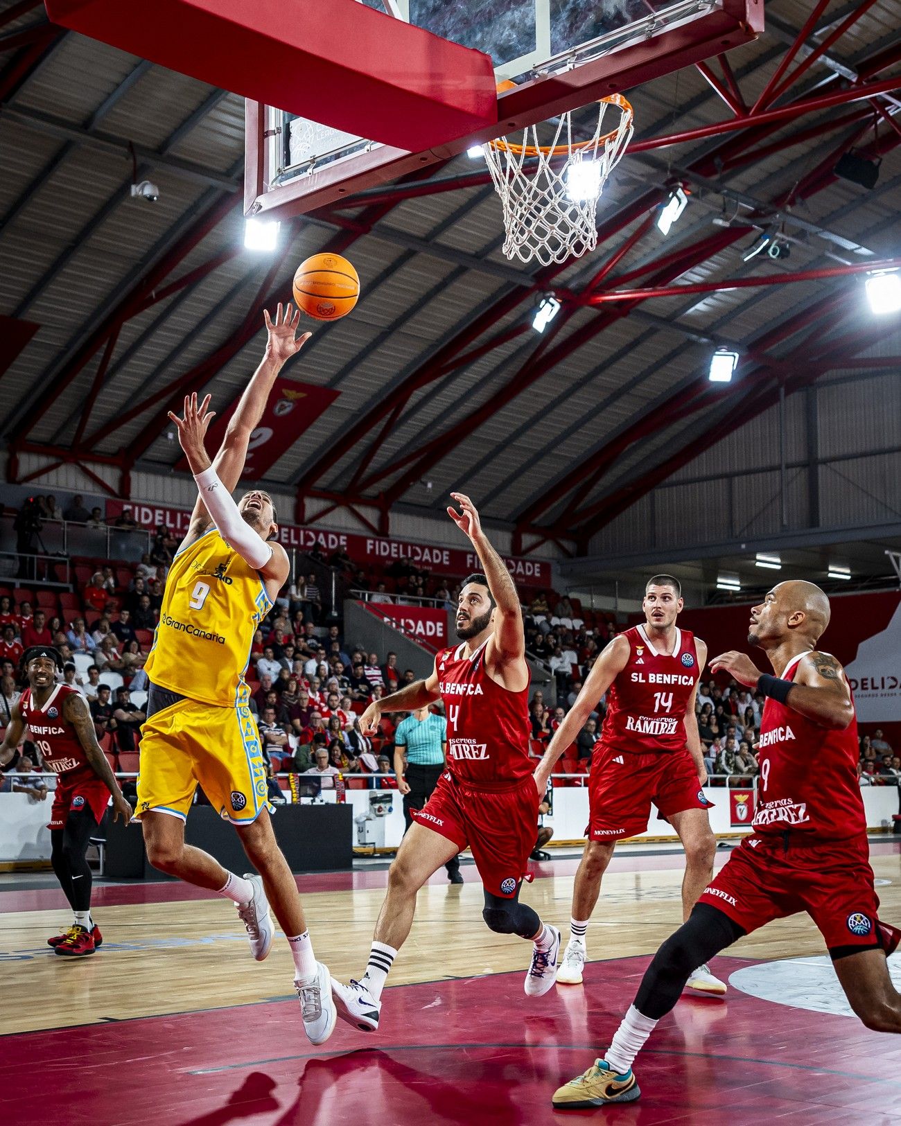 Champions League | Benfica - CB Gran Canaria