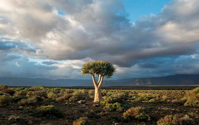 Parque Nacional de Tankwa Karoo