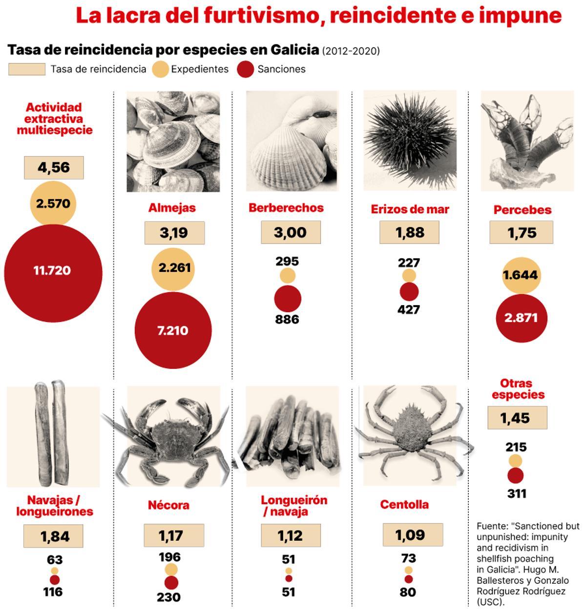 Tasa de reincidencia de furtivismo por especies en Galicia