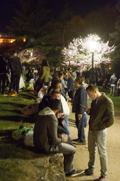 Semana Santa en Zamora: Botellón Jueves Santo