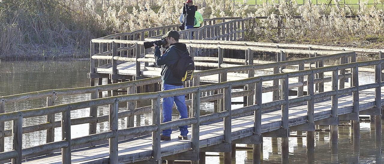 El parque natural de El Hondo, uno de los puntos que conectará el nuevo sendero ciclista y peatonal que diseña el Ayuntamiento. | MATÍAS SEGARRA