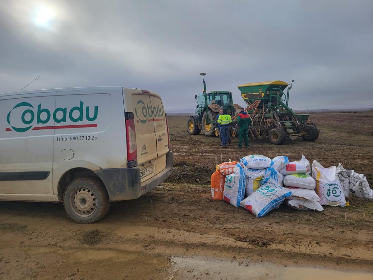 Siembra de campos de ensayo en Villamayor de Campos