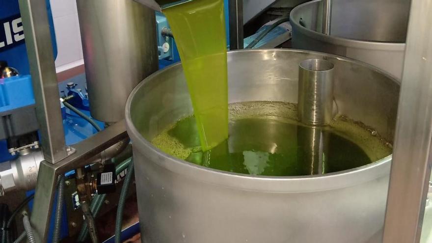 La exportaciones agroalimentarias andaluzas aumentan un 14,6%