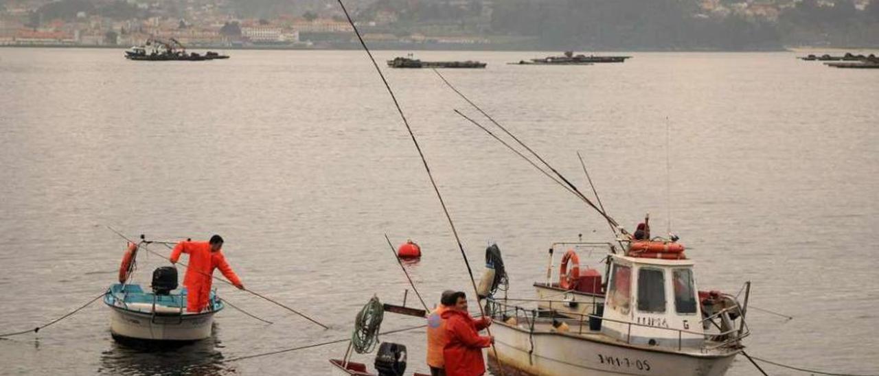 Mariscadores de a flote recogiendo almeja en la ría. // Gustavo Santos