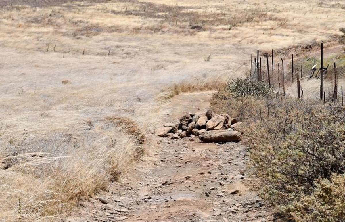 El Gamonal: un barrio incomunicado El Gamonal: un barrio incomunicado
