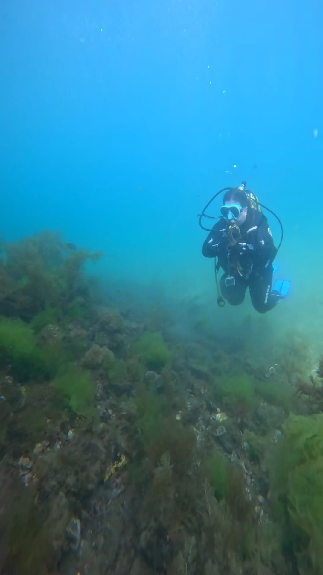 "Recuperación do Morrazo Somerxido", una iniciativa del Centro de Buceo Rías Baixas