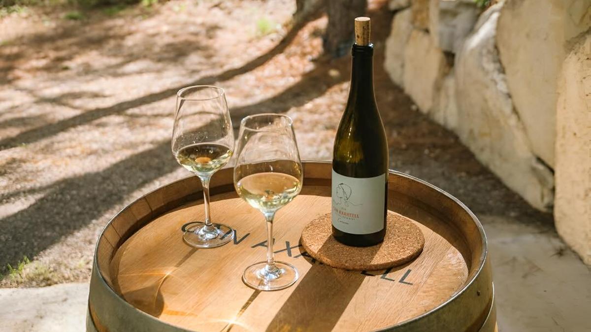 Un vino: El Corum de la bodega Can Axartell