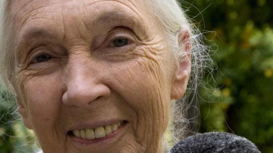 La Universidad de Alicante acoge la primera Cátedra Jane Goodall.
