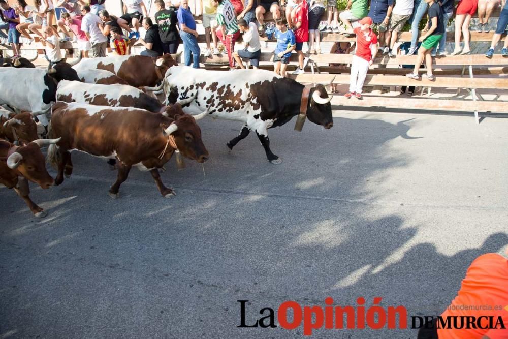 Segundo encierro Fiestas de Moratalla