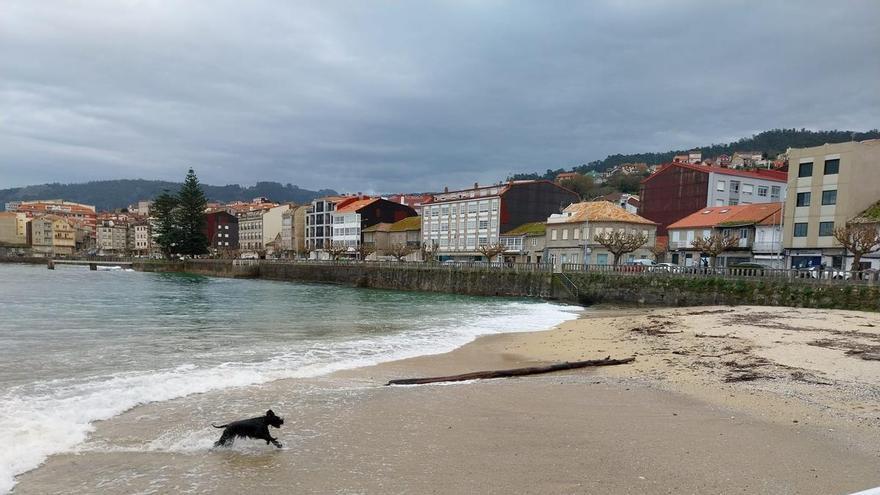 Bueu permitirá perros en las playas, con horario durante el verano, y hogueras de San Xoán solo en Banda do Río