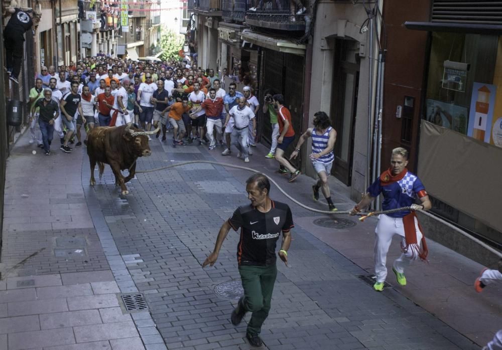 La carrera del Toro Enmaromado 2017 Razonador