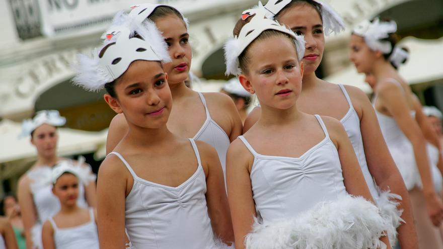 El festival de las aves de Cáceres, en cinco planes