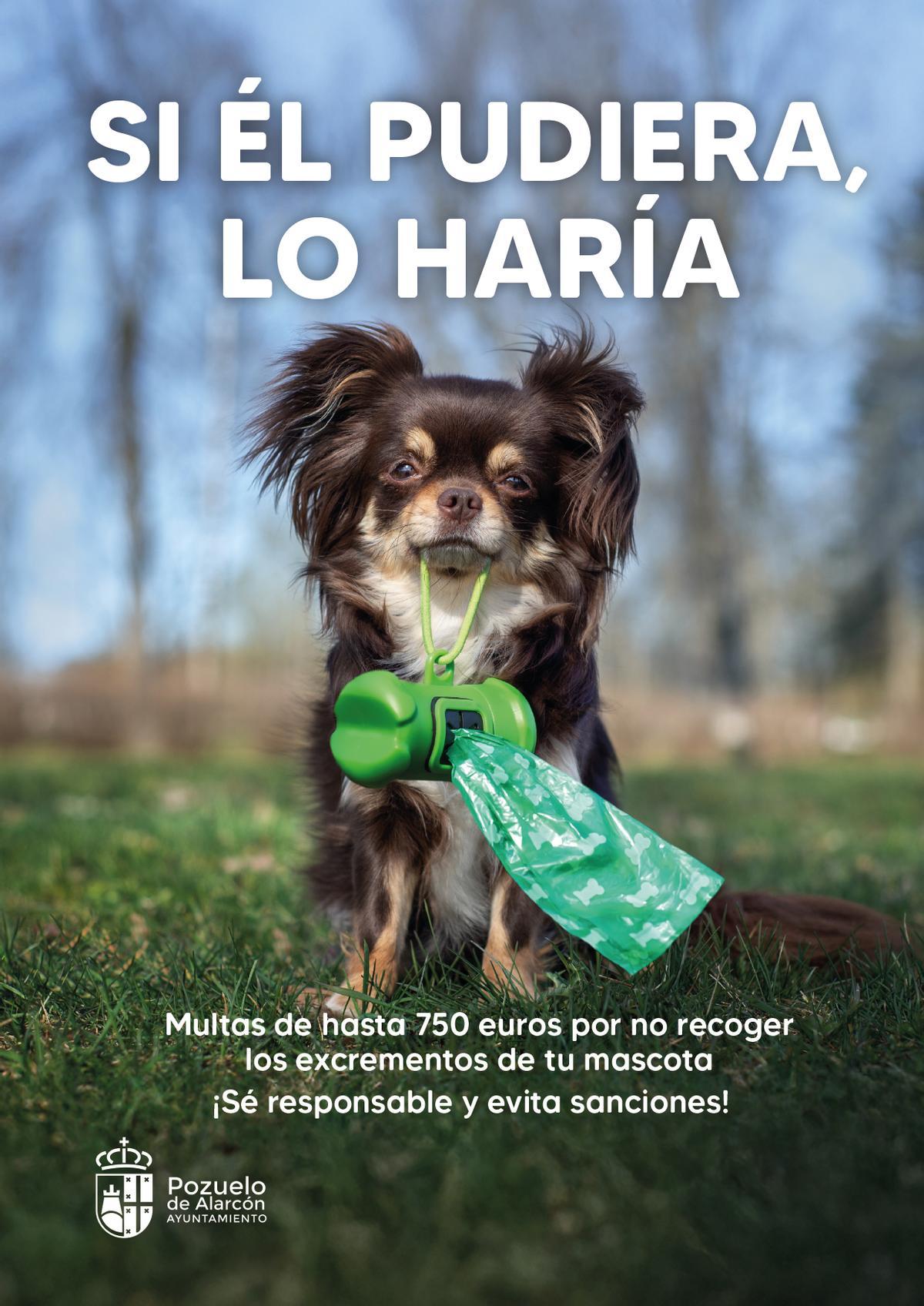 Cartel Campaña 'Si él pudiera, lo haría'