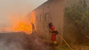 Dos bombers lluiten contra el foc de Molezuelas (Zamora).  | EUROPA PRESS