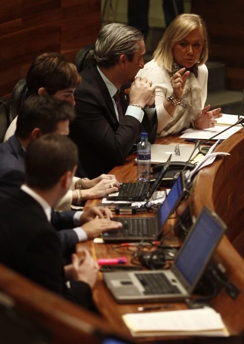 Pleno de la Junta General del Principado