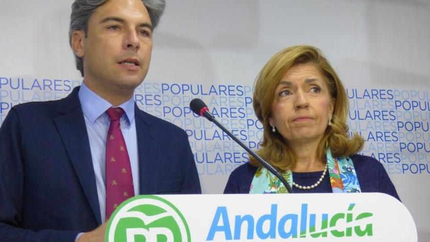 Lorite exige al PSOE que explique el trato de favor a la Fundación Guadalquivir Futuro