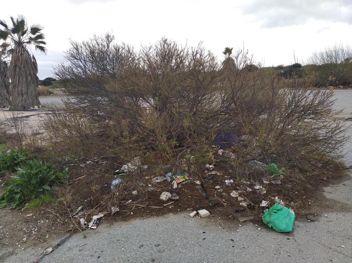 Arbusto con basura y palmeras sin podar en la antigua parcela del Butano.