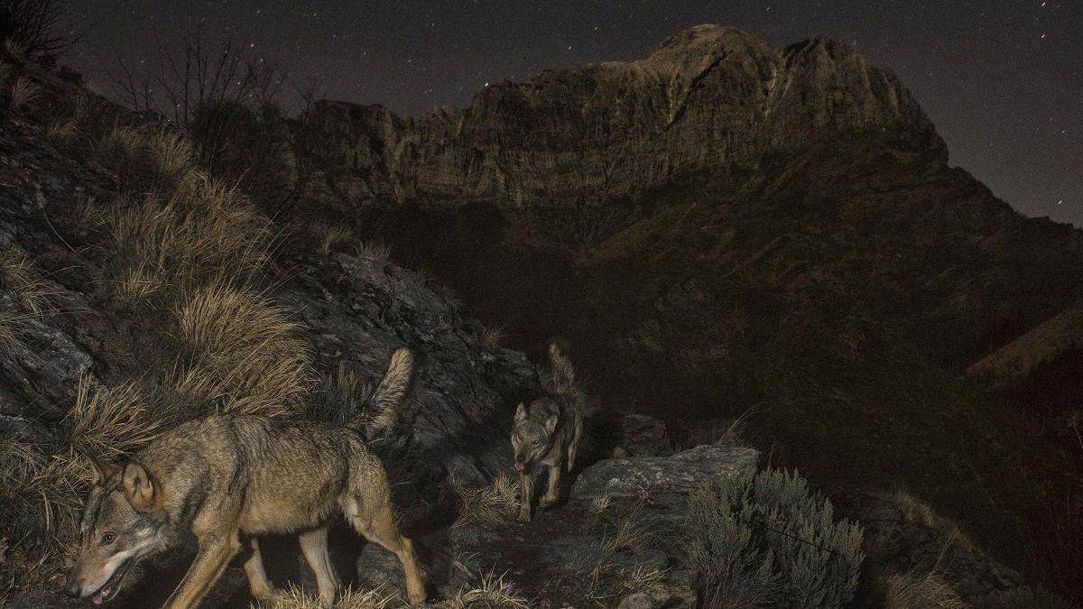 Montphoto premia l&#039;italià Lorenzo Shoubridge