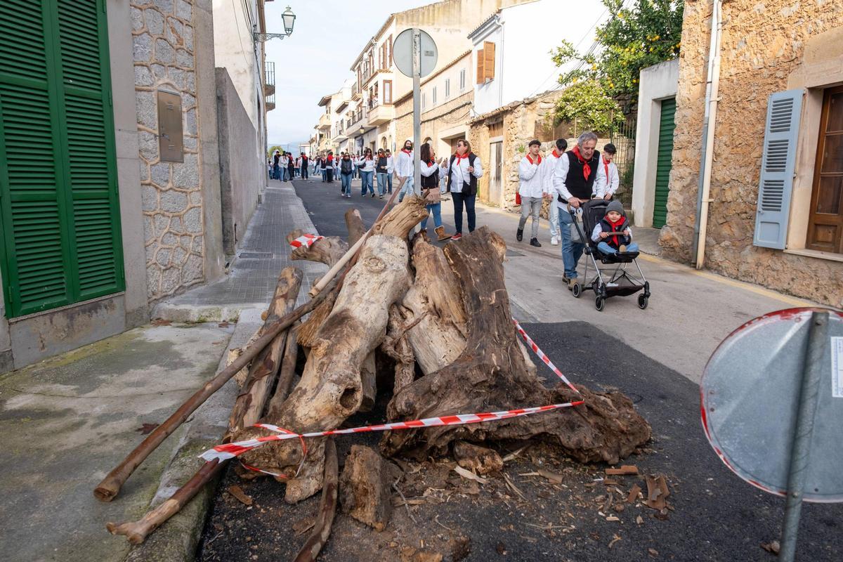 FOTOS | Búscate en el Sant Antoni de Artà FOTOS | Búscate en el Sant Antoni de Artà