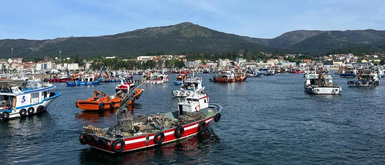 Algunas de las embarcaciones auxiliares de acuicultura desplazadas ayer al puerto de A Pobra. |   //  FDV