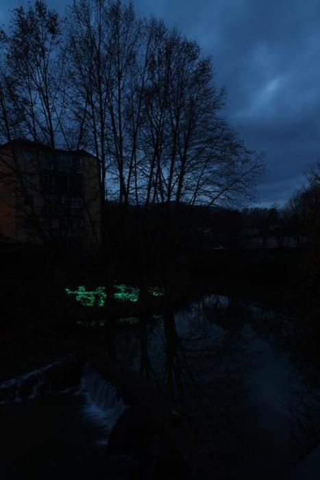 Cuques de llum. Olot · Jordi Hidalgo Tané