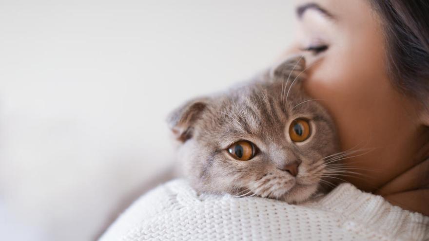 Los gatos contraen la inestabilidad emocional de sus dueños