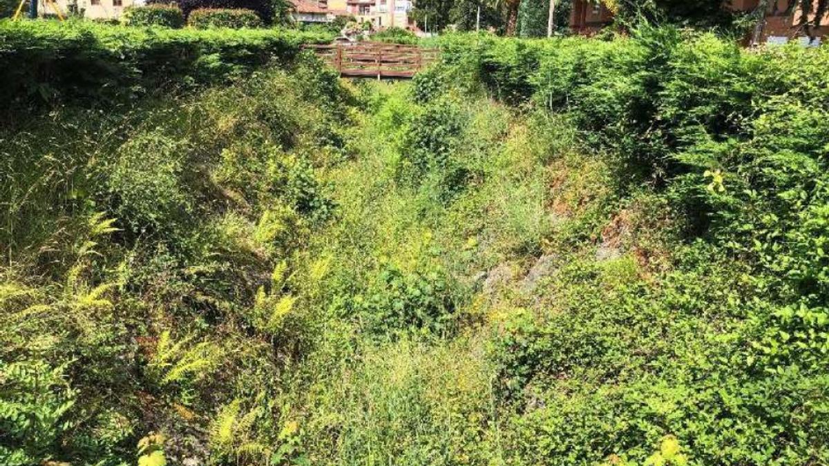 La "mini-selva" de Santa Eulalia de Morcín, antes de la actuación. | CHC