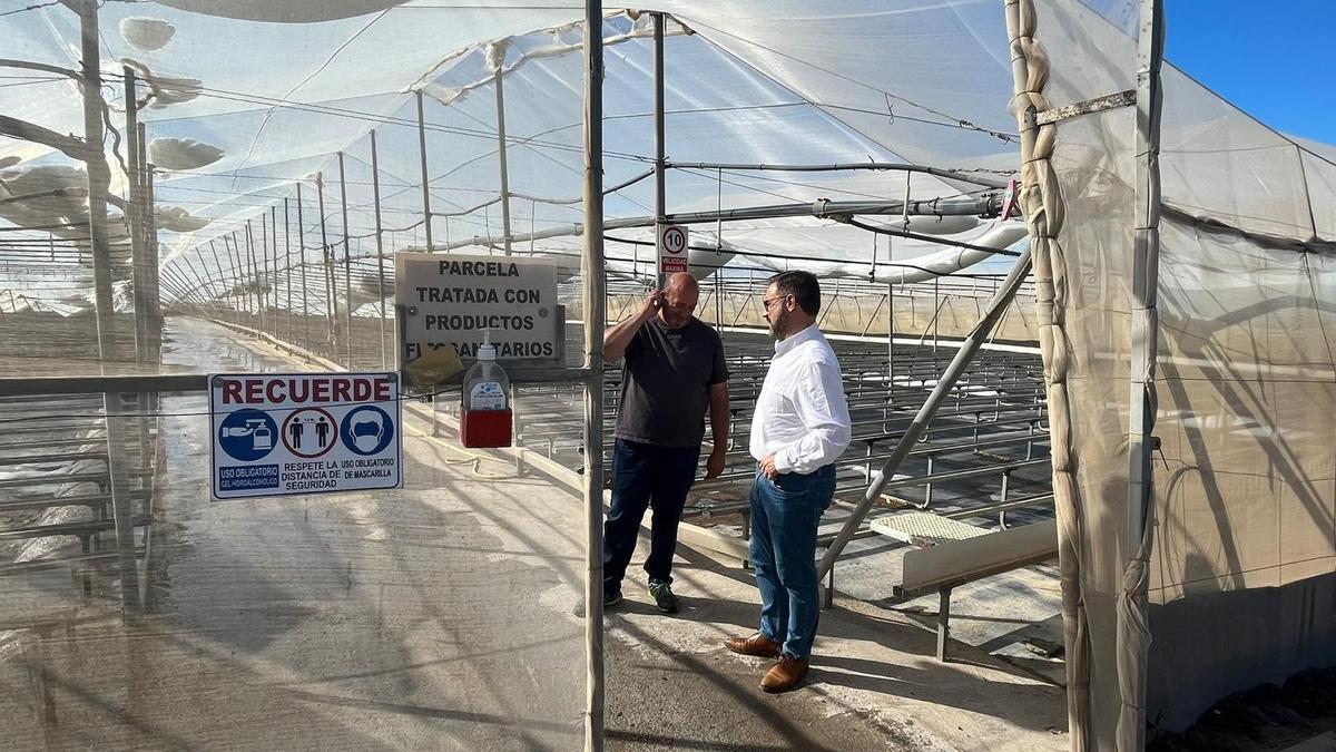 Diego José Mateos visitaba un invernadero en cuya cubierta se podía contemplar el hielo acumulado del granizo del día anterior.