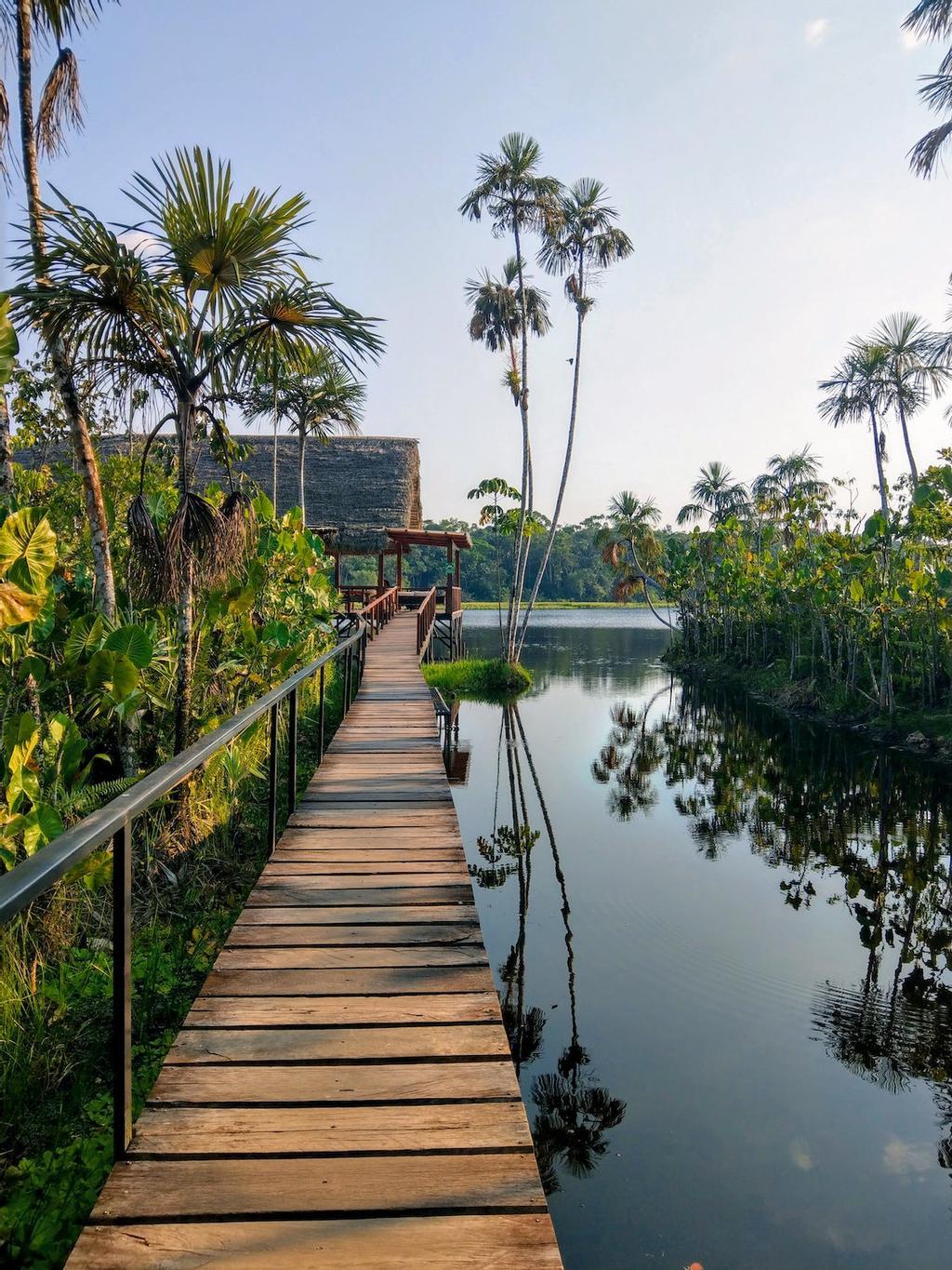 Sacha Lodge, en la Amazonía ecuatoriana