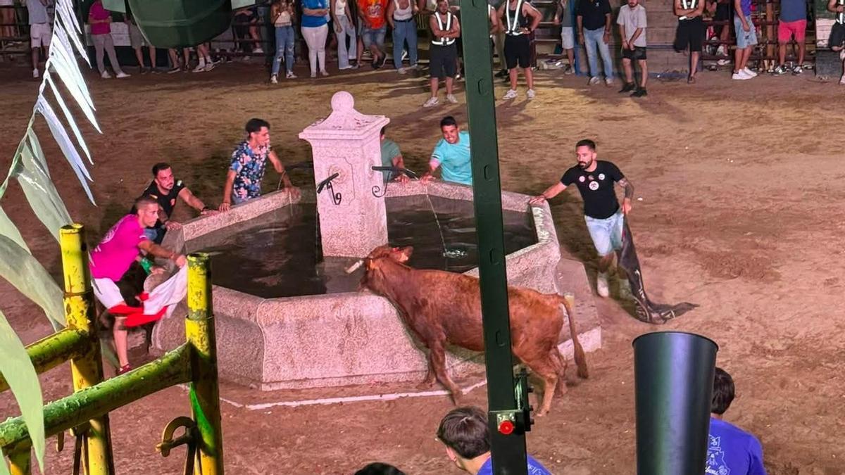 Una fuerte borrasca obliga a suspender las fiestas taurinas de Alía antes de lo previsto